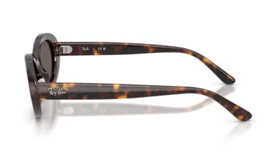 Ray-Ban 2223